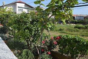 Apartment Branka