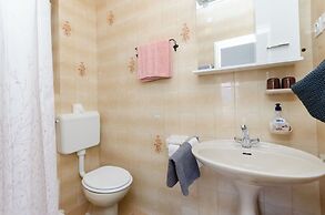 Apartment Branka