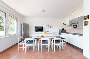 Apartment Branka