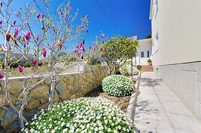 Apartment Branka