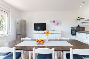 Apartment Branka