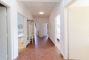 Apartment Branka