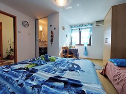 Rooms Anchy