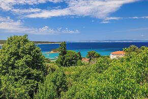 House Davorka