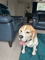Dog Friendly - 4 Bed House - Sleeps 10 - Pool Table
