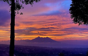 Alinson Sunset Hill By Zuzu