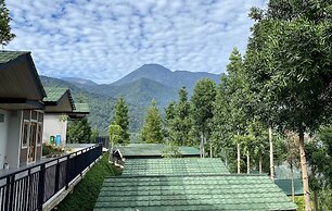 Alinson Sunset Hill By Zuzu