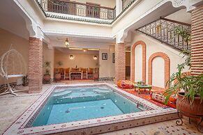 Riad Salman