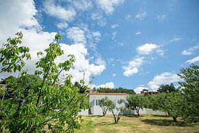Modern House W.large Garden & Children Playground