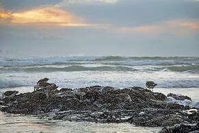 Van Riebeeck 12