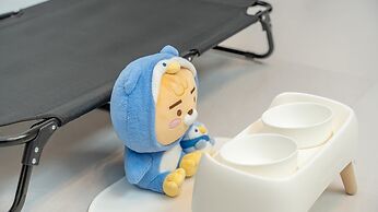 Gapyeong Dangdangi Pet Poolvilla Blue