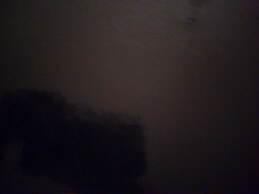 Blank Blank Blank Blank