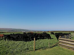 Boscastle View