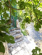 House With Large Garden, Right Next to the River