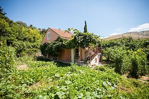 House With Large Garden, Right Next to the River