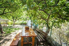 House With Large Garden, Right Next to the River