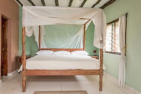Sleeping Baobab