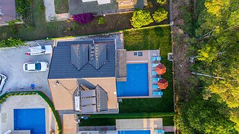 Lilly Villa 2
