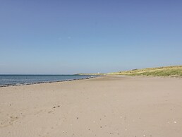 Ailsa Shores