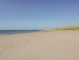 Ailsa Shores