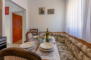 Apartments Brana