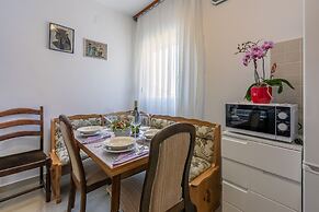 Apartments Brana