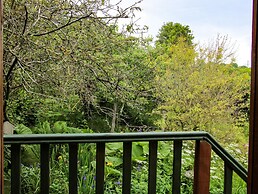 Milford Tree Tops
