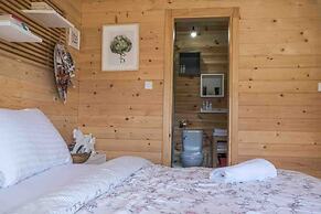 Lovely 4-bed Cottage in Kolasin