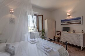 Le Tartarughe B&B