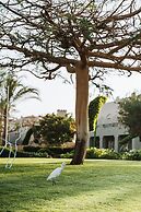 Sentido Akassia beach