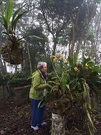 Rutun Orquídeas