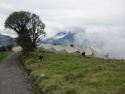 Rutun Orquídeas