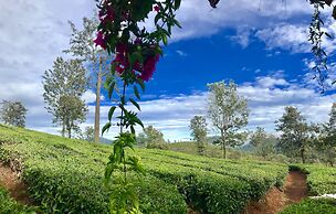 Sunvalley Homestay