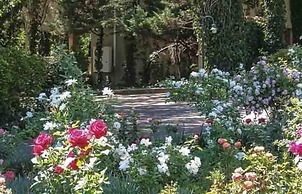 Valley Lodge & Spa