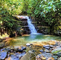 Oxygen Jungle Villas & Spa