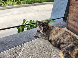 The Rubber Hotel Phuket
