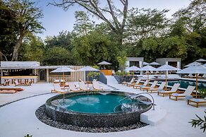 El Mangroove Papagayo, Autograph Collection