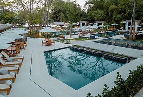 El Mangroove Papagayo, Autograph Collection