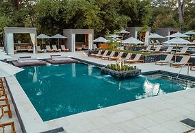 El Mangroove Papagayo, Autograph Collection