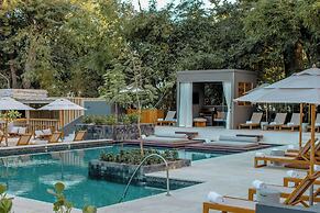 El Mangroove Papagayo, Autograph Collection