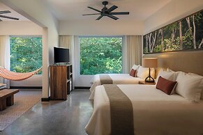 El Mangroove Papagayo, Autograph Collection