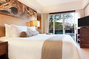 El Mangroove Papagayo, Autograph Collection
