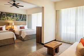 El Mangroove Papagayo, Autograph Collection