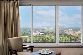 The Hawaii Comforts