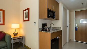 Holiday Inn Express Hotel & Suites Cuernavaca by IHG