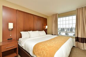Comfort Suites Minot South