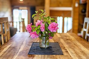 Mole Creek Cabins
