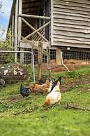 Mole Creek Cabins