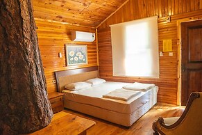 Kadir's Tree Houses