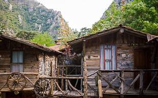 Kadir's Tree Houses